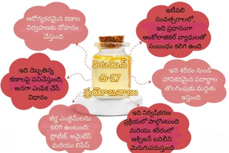Health benefits of Vitamin B17