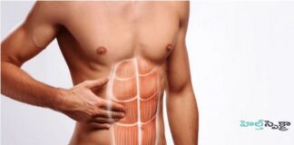 ఉదర కండరాల ఒత్తిడి: లక్షణాలు, చికిత్స, నివారణ - Abdominal Muscle Strains: Symptoms, Treatment, and Prevention Abdominal Muscle Strains