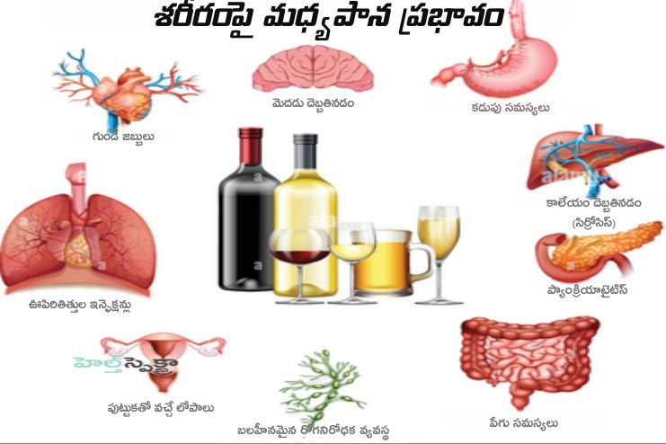 Alcohol and acidic drinks negative affect