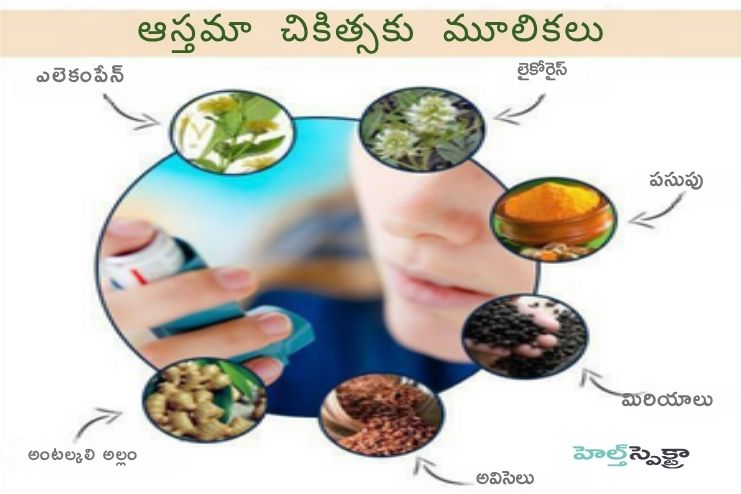 Ayurvedic herbs useful in asthma 2