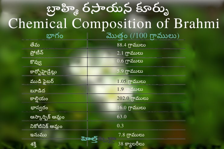 Bacopa monneiri chemical constituents