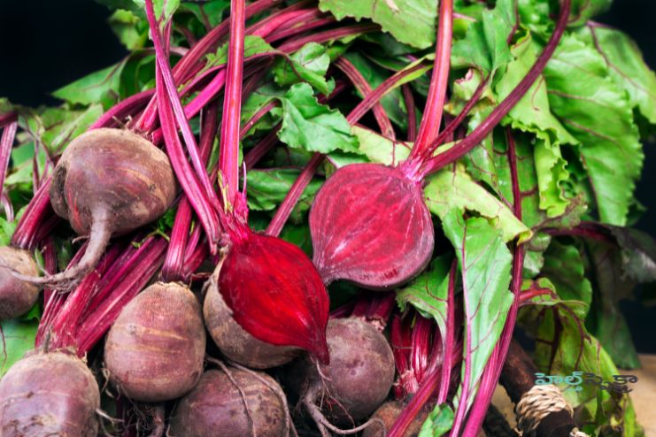Beets