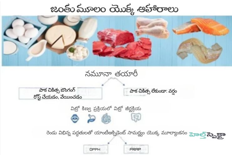 Effect of cooking of Antioxidants