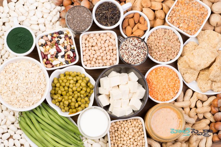 Focus on proteins
