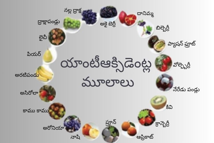 Food sources of Antioxidants