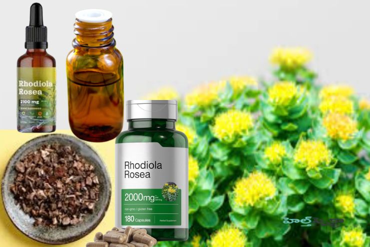 Forms of Rhodiola
