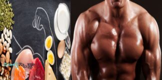 కండరాలను నిర్మించడానికి ఎంత ప్రోటీన్ అవసరం? - How Much Protein is Really Needed for Muscle Building? How Much Protein is Really Needed for Muscle Building