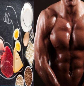 కండరాలను నిర్మించడానికి ఎంత ప్రోటీన్ అవసరం? How Much Protein is Really Needed for Muscle Building