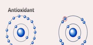 ఫ్రీ రాడికల్స్ శరీరాన్ని ఎలా ప్రభావితం చేస్తాయి? యాంటీఆక్సిడెంట్ల పాత్ర - How do free radicals affect the body? Role of Antioxidants How do free radicals affect the body_ Role of Antioxidants