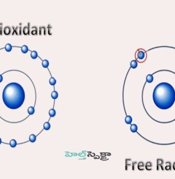 ఫ్రీ రాడికల్స్ శరీరాన్ని ఎలా ప్రభావితం చేస్తాయి? యాంటీఆక్సిడెంట్ల పాత్ర How do free radicals affect the body_ Role of Antioxidants
