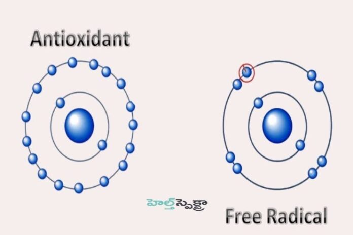 How do free radicals affect the body_ Role of Antioxidants