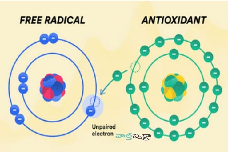 How do free radicals damage the body