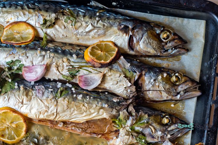 Oily fish