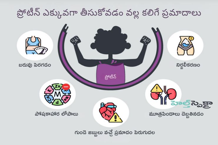 Potential risks of Excess Protein