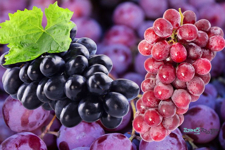 Purple or red grapes