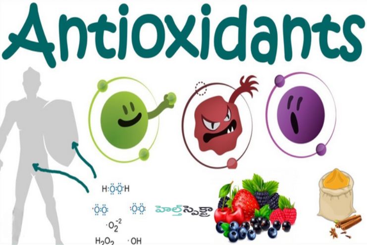 What are Antioxidants