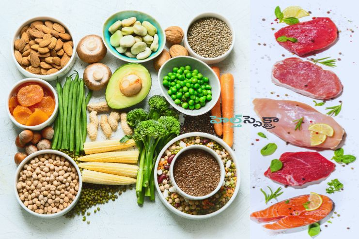 What are the best protein sources