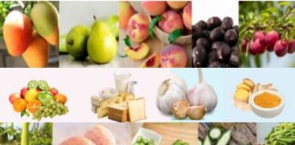 వర్షాకాలంలో తినాల్సిన, తినకూడని ఆహారాలివే.! - What to Eat and Avoid During the Rainy Season What to Eat and Avoid During the Rainy Season