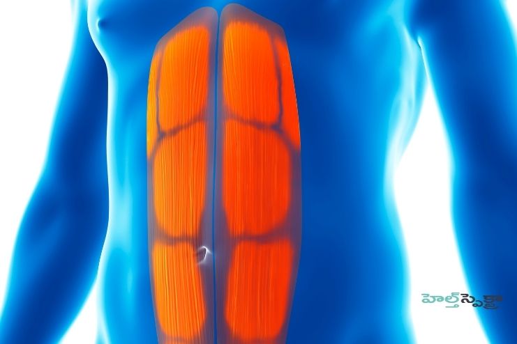 Which abdominal muscles are strained