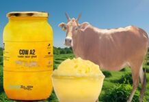 ఆవు నెయ్యి: ఏ1 లేదా ఏ2లలో ఏదీ ఆరోగ్యమైనది.? Which is the Healthier A2 Desi Cow Ghee or A1 Cow Ghee