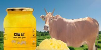 ఆవు నెయ్యి: ఏ1 లేదా ఏ2లలో ఏదీ ఆరోగ్యమైనది.? - Which is the Healthier A2 Desi Cow Ghee or A1 Cow Ghee? Which is the Healthier A2 Desi Cow Ghee or A1 Cow Ghee