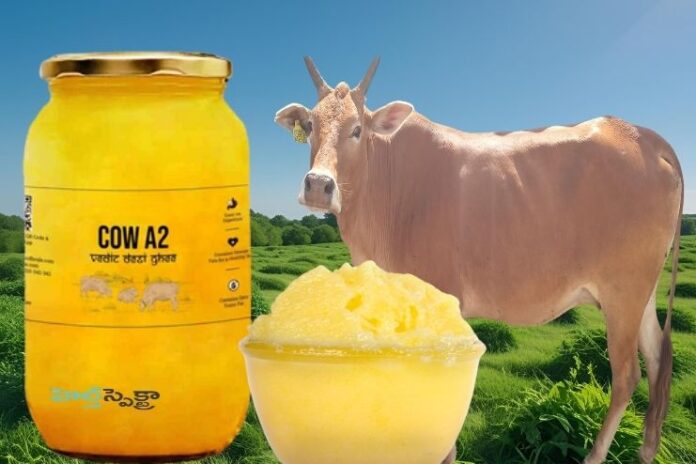 Which is the Healthier A2 Desi Cow Ghee or A1 Cow Ghee