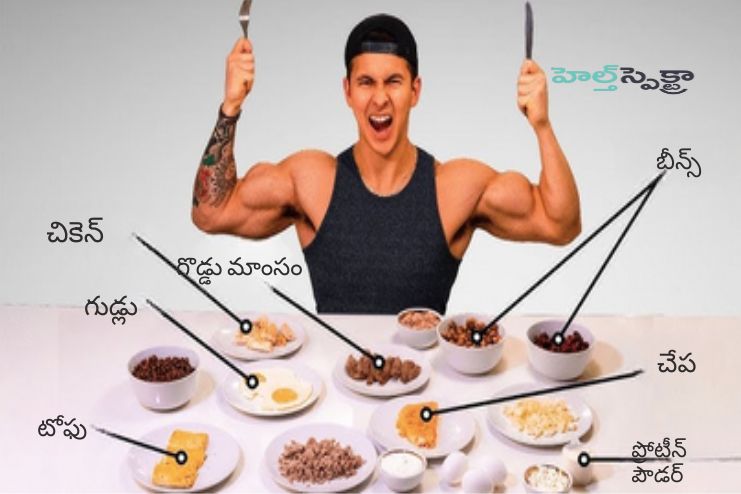 Why is protein important for building muscle 2