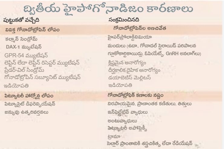 causes of secondary male hypogonadism