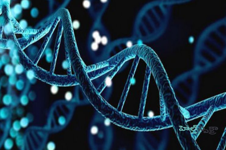 genetics