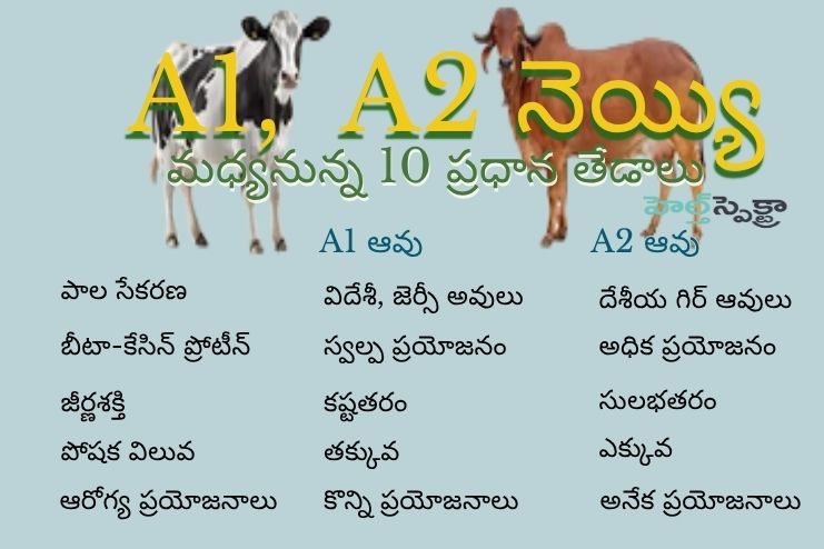 key differences between A1 and A2 Ghee