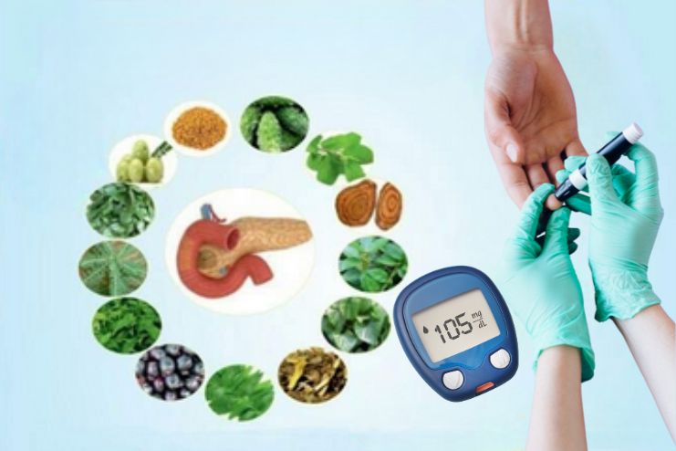 Prameha Diabetes Mellitus in Ayurveda 2