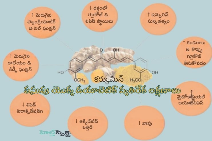 Anti-Diabetic property of Turmeric