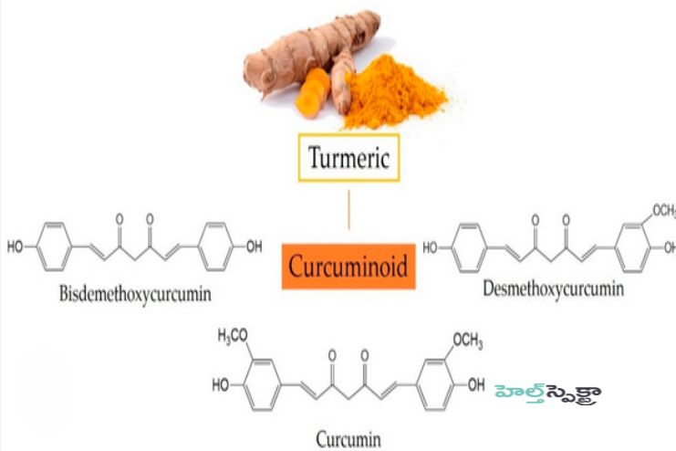 Anti-Diabetic property of Turmeric
