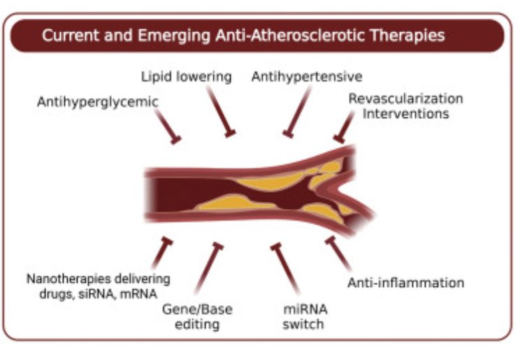 Anti-atherosclerotic property of Haridra