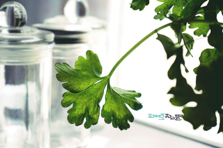 Cancer-fighting substances