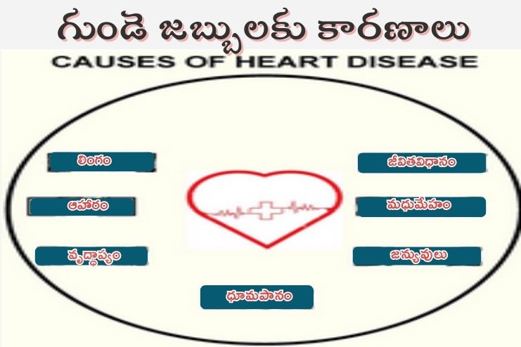 Causes for cardiovascular disease