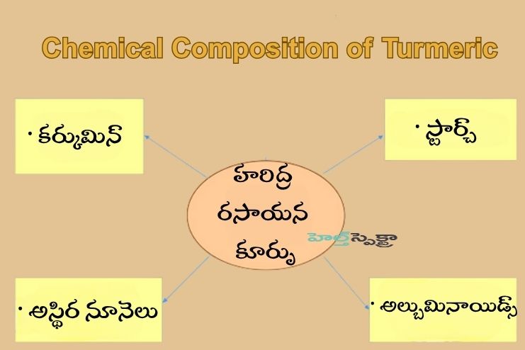 Chemical Composition
