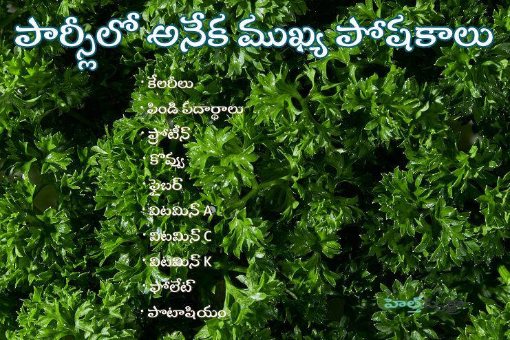 Contains many important nutrients