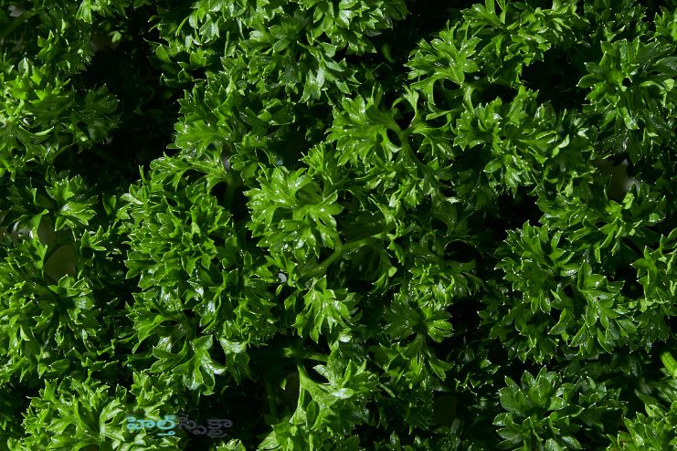 Easy to add to your diet