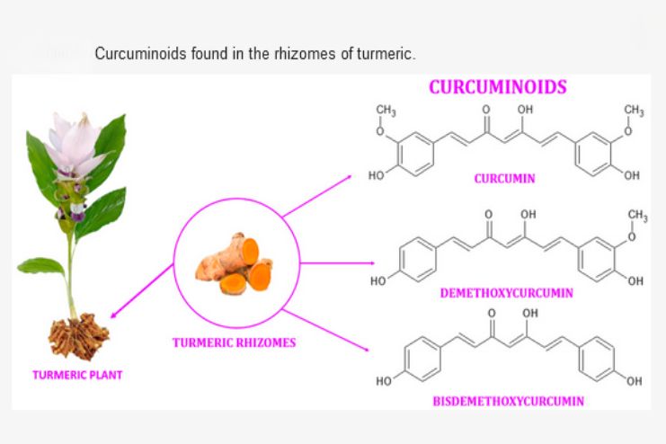 Haridra destroys Vata and reverses insulin-resistance