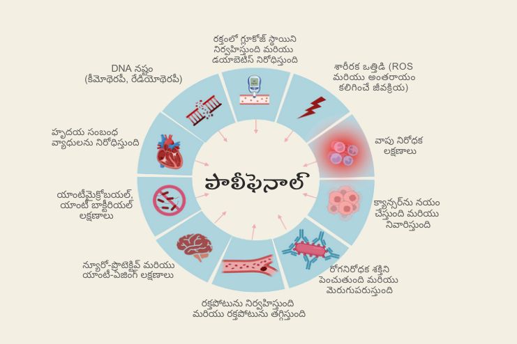 Health Benefits of Polyphenols