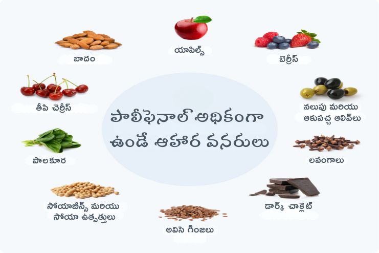 High-polyphenol foods