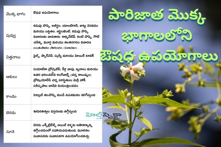Medicinal uses of various parts of Harsingar plant
