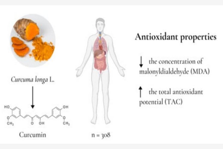 Metabolic correction and anti-oxidant property