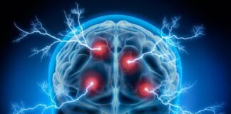 మెదడులో మైక్రోప్లాస్టిక్లు: వాటి బారిన పడకుండా నివారణ ఎలా? - Micro-plastics in the brain: How can we avoid exposure? Micro-plastics in the brain_ How can we avoid exposure