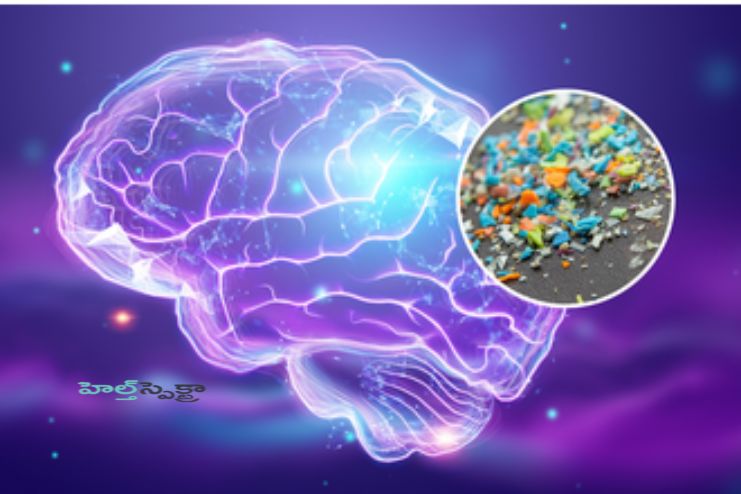 Microplastics into our brains 1