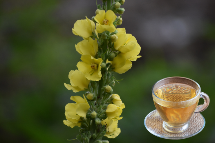 Might have other health effects