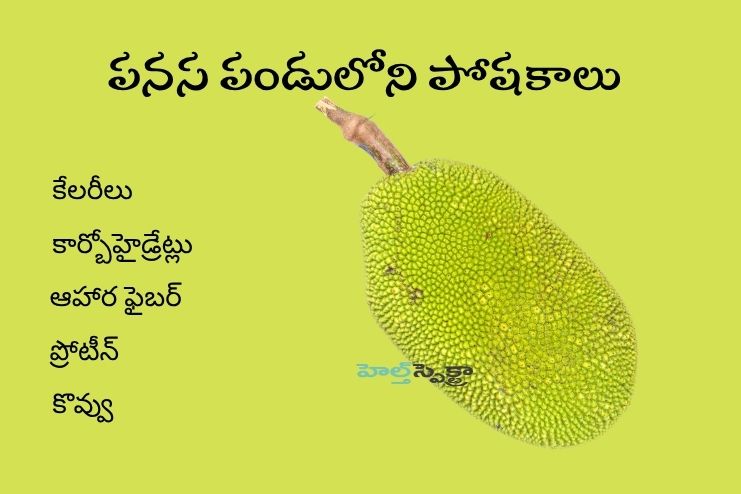 Nutritional Facts of Jackfruit 2