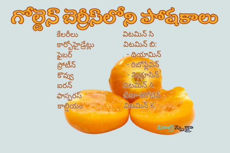 Packed With Nutrients