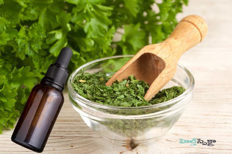 Parsley extract has antibacterial properties